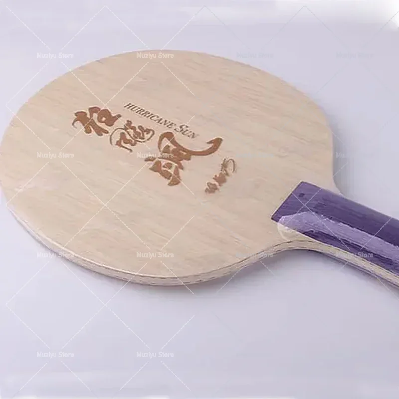 Table Tennis Champion - Pisau Tenis Meja DHS Hurricane Sa