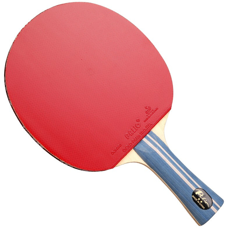 PALIO raket tenis meja 2 binta - Table Tennis Spin ulasan dan harga