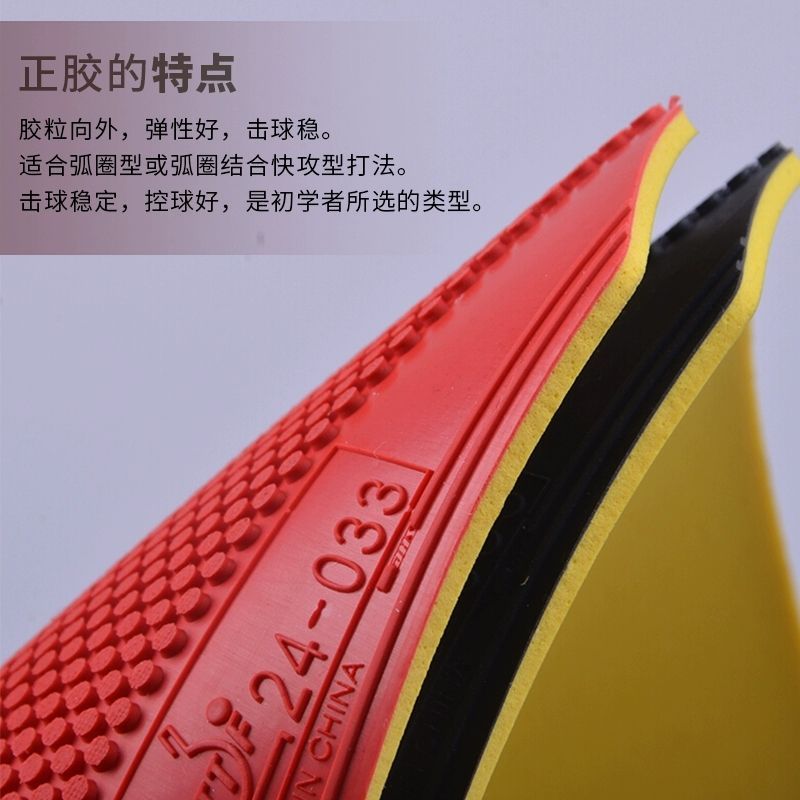 Karet Tenis Meja DHS Dragon Sh - Table Tennis Club ulasan dan harga